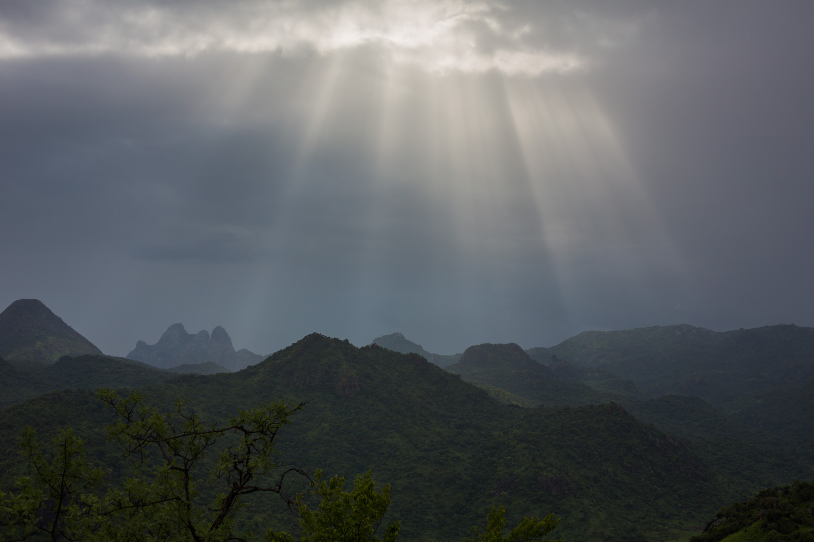 African landscapes and wildlife