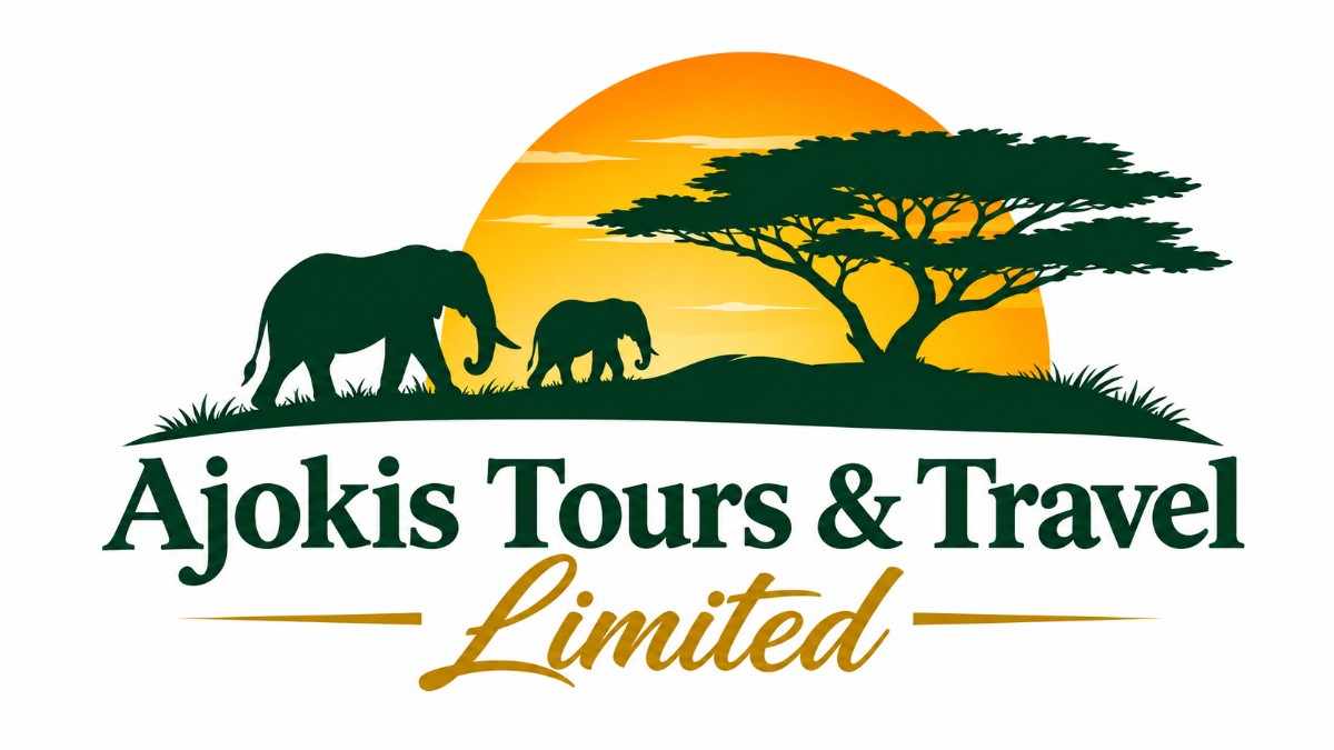 ajokis logo