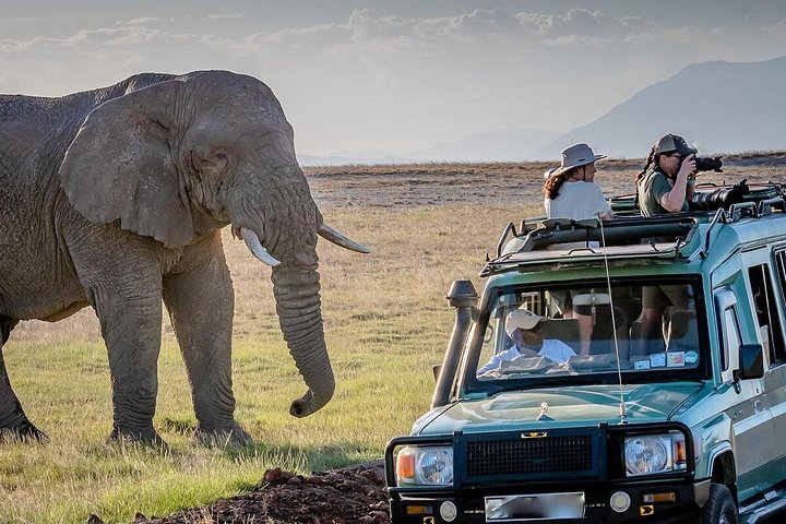 Kenya wildlife safari across the African savannah